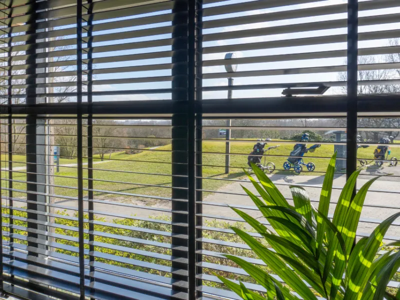 Verano houten jaloezie 65 mm